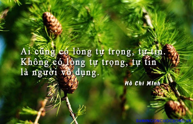 Tổng hợp những câu nói hay về lòng tự trọng mới nhất 2020