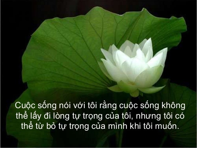 Tổng hợp những câu nói hay về lòng tự trọng mới nhất 2020