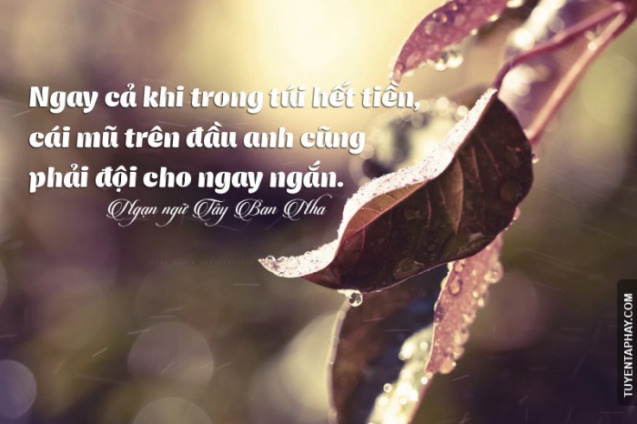 Tổng hợp những câu nói hay về lòng tự trọng mới nhất 2020