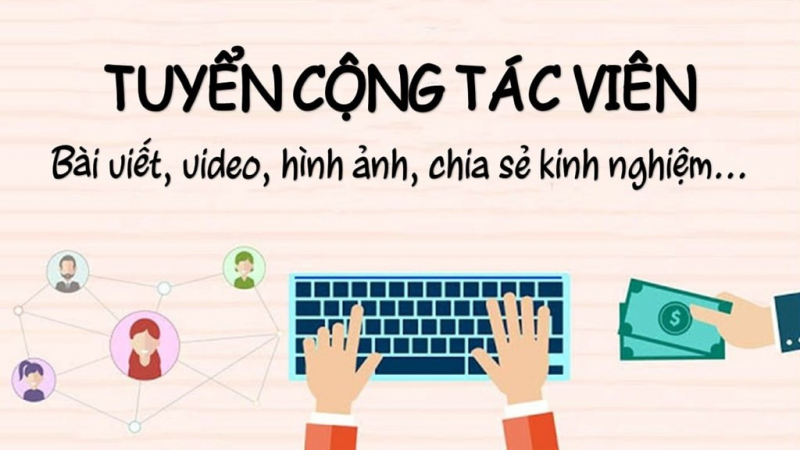 Những công việc sinh viên nên làm